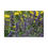 Thumbnail: Bees and Caucasus Catmint Puzzle - Series B