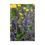 Thumbnail: Bees and Caucasus Catmint Puzzle - Series B