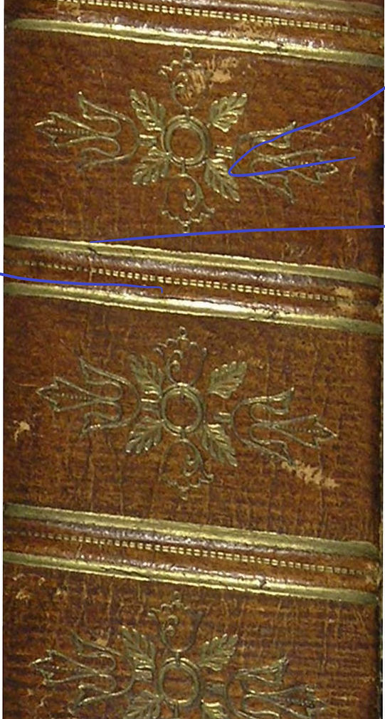 Suetoniusspine (1) NEW.jpg