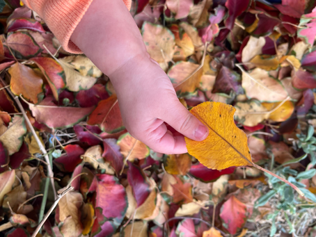 Leafy Adventures: Easy Fall Activities Your Kids Will Love
