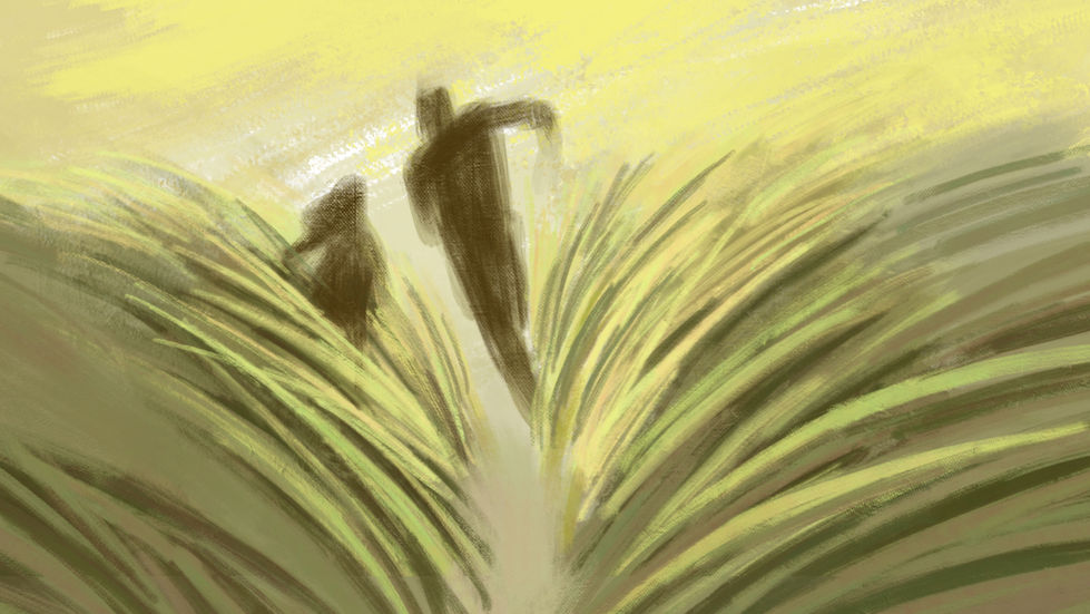 Buffalo_Grass_Still22