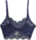 Samantha Chang Illusion Long Line Bralette in Midnight Product View