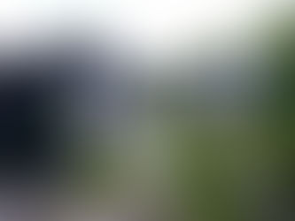 Girl Gone Reading: The Voodoo That You Do