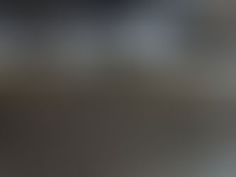 Girl Gone Local and Reading: What's that in my backyard?