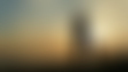 Girl Gone Smart: Guest Post - Racism in a "nice" Albany neighborhood