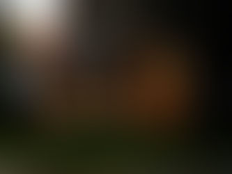 Girl Gone Local: Haunted and Historic Pub Crawl of Ten Broeck Mansion 