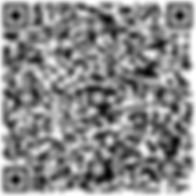 QR Code Kontaktdaten Meier + Schultz GbR