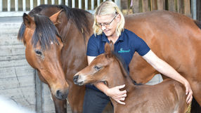 Celebrating 15 Years Already!