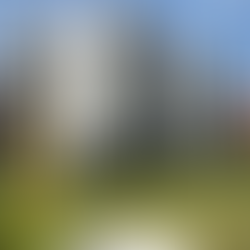 Aleje Praskie - Develia. Ocena inwestycji deweloperskiej i wrażenia z odbioru.