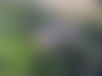 Sherwood House in Linby - Video production company near Nottingham