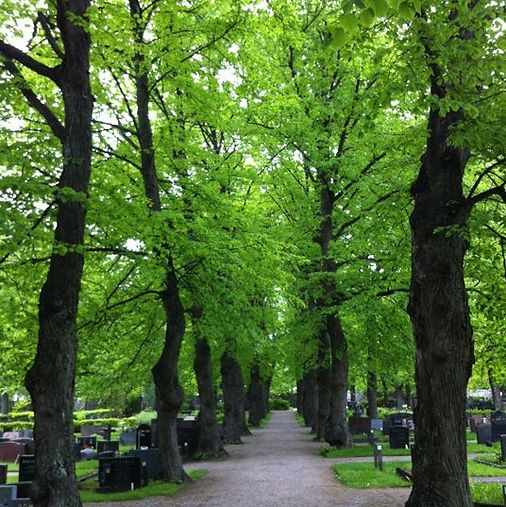 Malmi.jpg