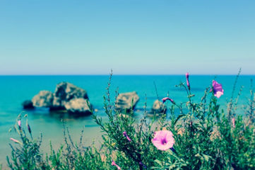 Kabukista si ferma. Buone vacanze!