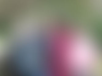 ‘Breaking the mould of Care provision in PH8.’