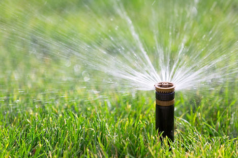 Mandeville Madisonville Northshore Covington LA Landscape Company Commercial Residential Design Installation Irrigation Drainage Grading lawn Maintenance Mowing Leaf removal