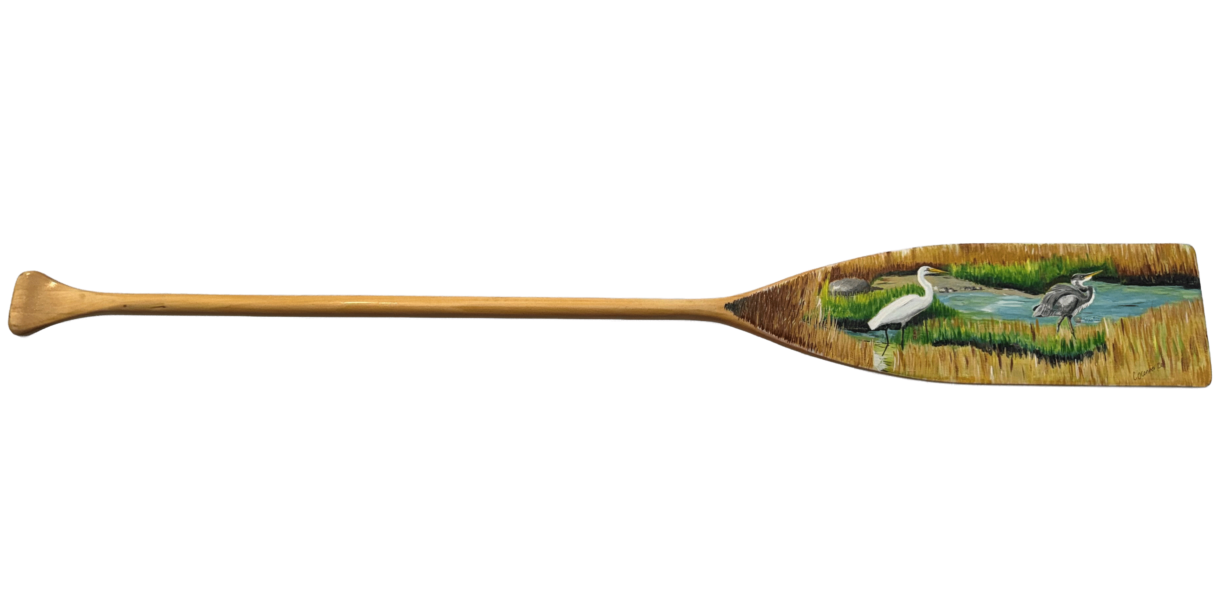 Colleen-O'Connor-Paddle-1.gif