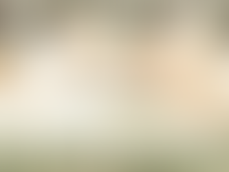 Technology brings us a connected Christmas