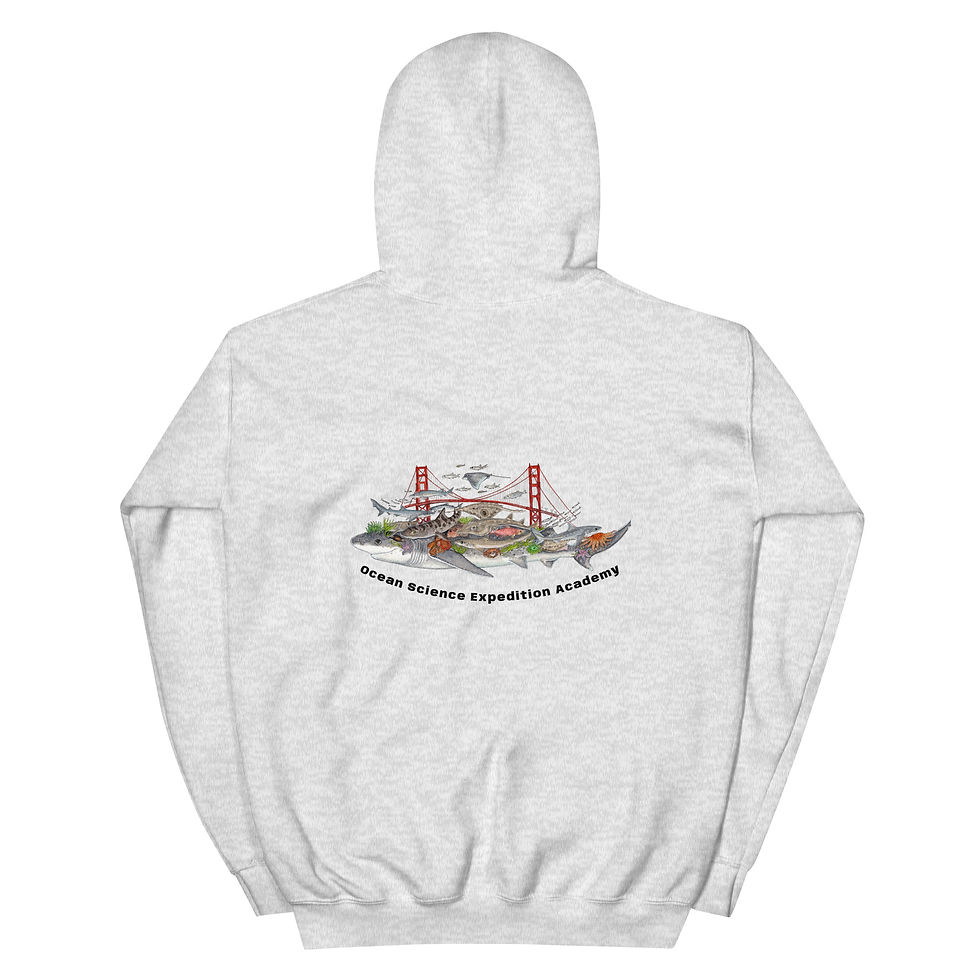 Thumbnail: Light Hoodies_GG Bridge Color Design