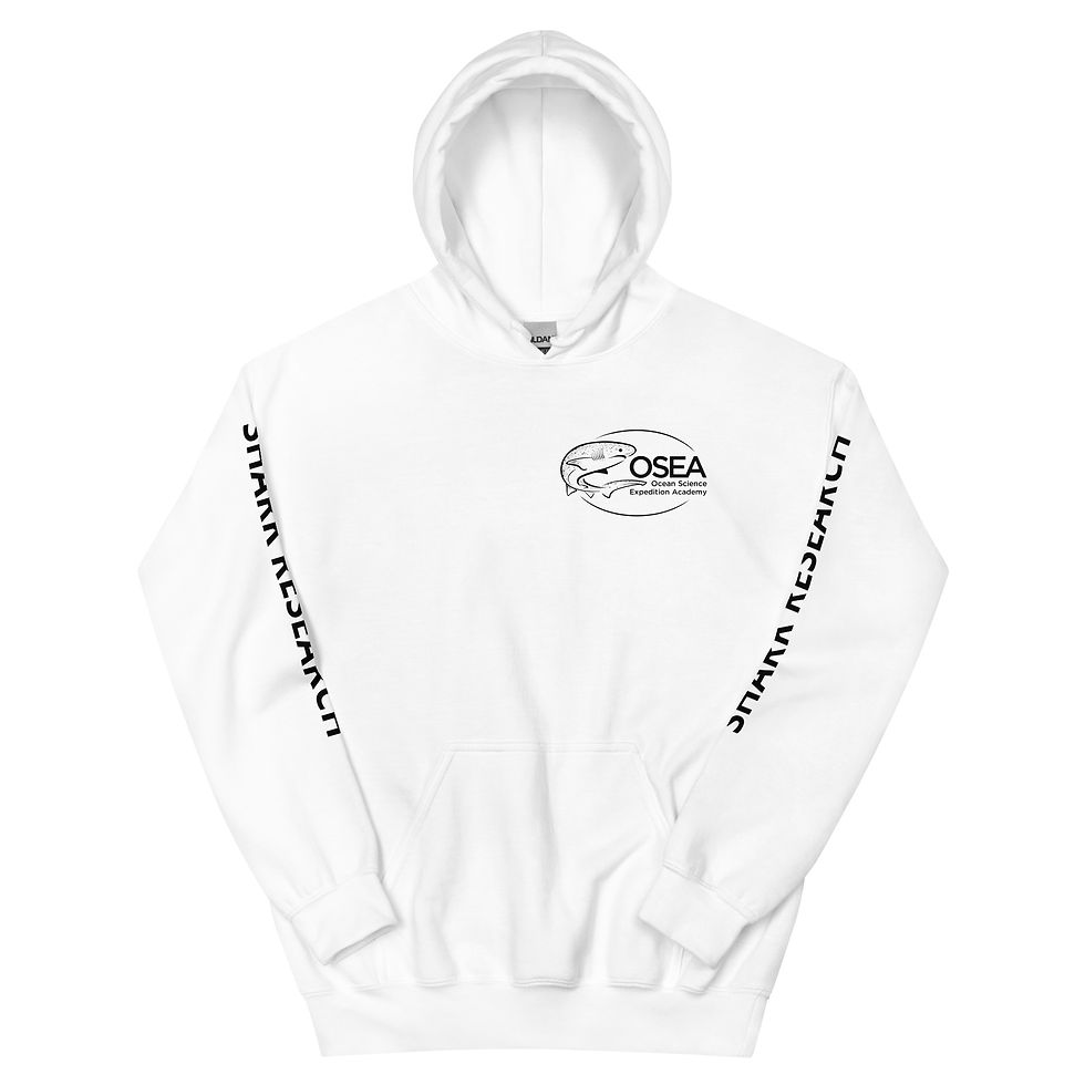 Thumbnail: Light Hoodies_GG Bridge Outline Design