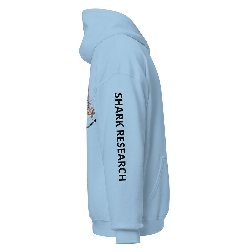 Thumbnail: Light Hoodies_GG Bridge Color Design
