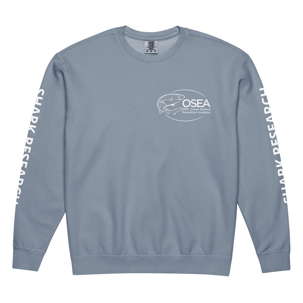 Thumbnail: Unisex garment-dyed fleece crewneck sweatshirt