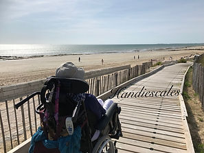 ile_Ré_plage_chemin_bois.jpeg
