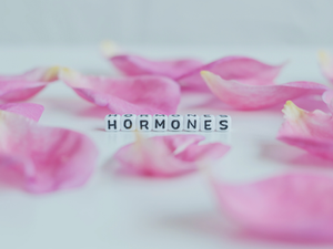 The Connection Between Hormones, Menstrual Cycles & Breast Health