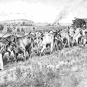 Primeira Viagem de José Antônio Pereira - 04 de Março de 1872