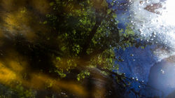 Zion Park reflection