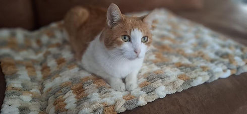 582083082_1306909067858143_6007341829632606798_n (1).jpg