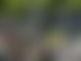 NOT! ARTIFICIAL INTELLIGENCE