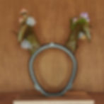 Thumbnail: Fairy Mushroom horns OOAK