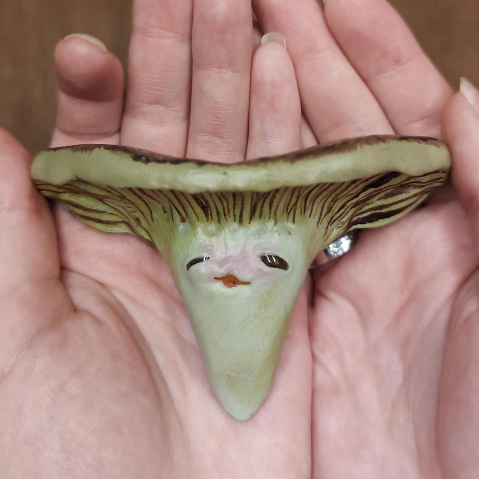 Thumbnail: MushroomShelf Polypor