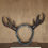 Thumbnail: Triskelion Antlers