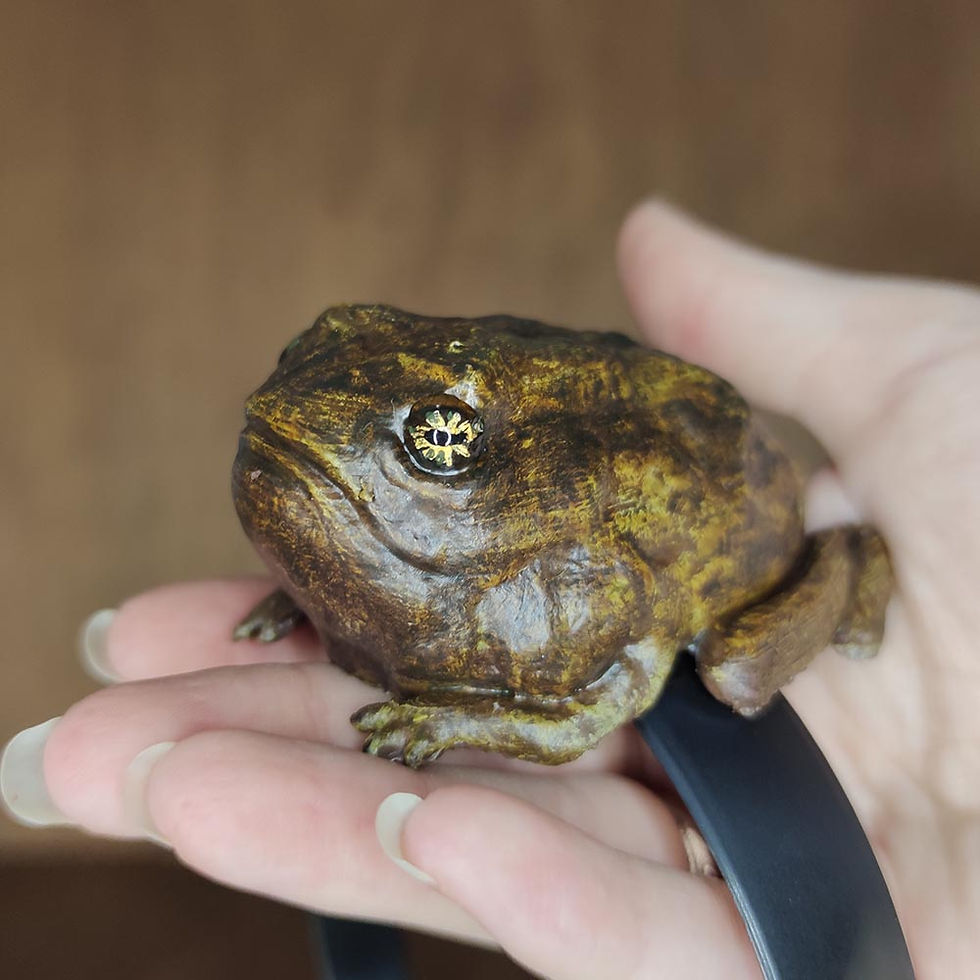 Thumbnail: Toad Companion