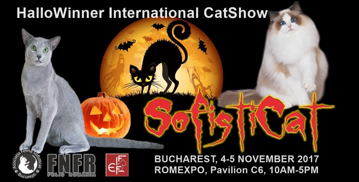 2017 sofisticat