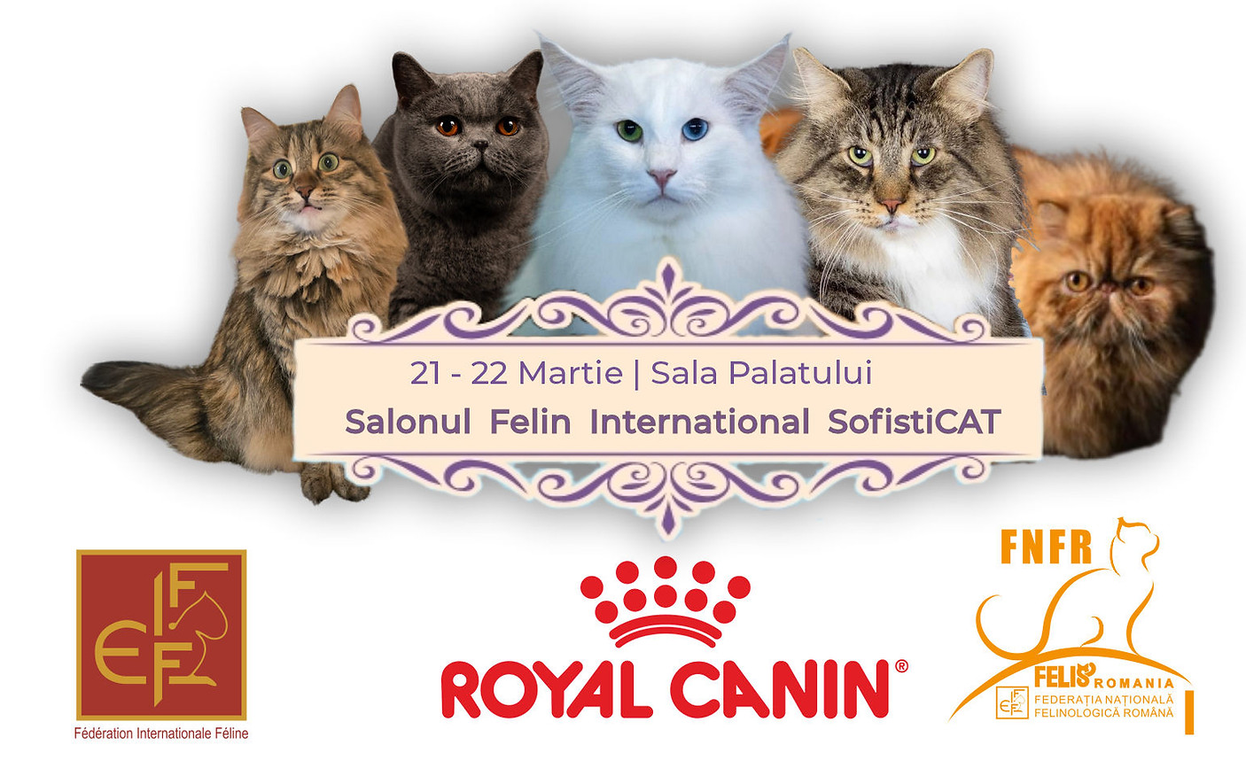 sofisticat-salonul-felin