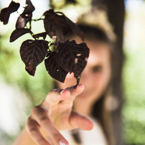 Comunion Paula_BajaRes_059.jpg