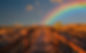 rainbow path.jpeg