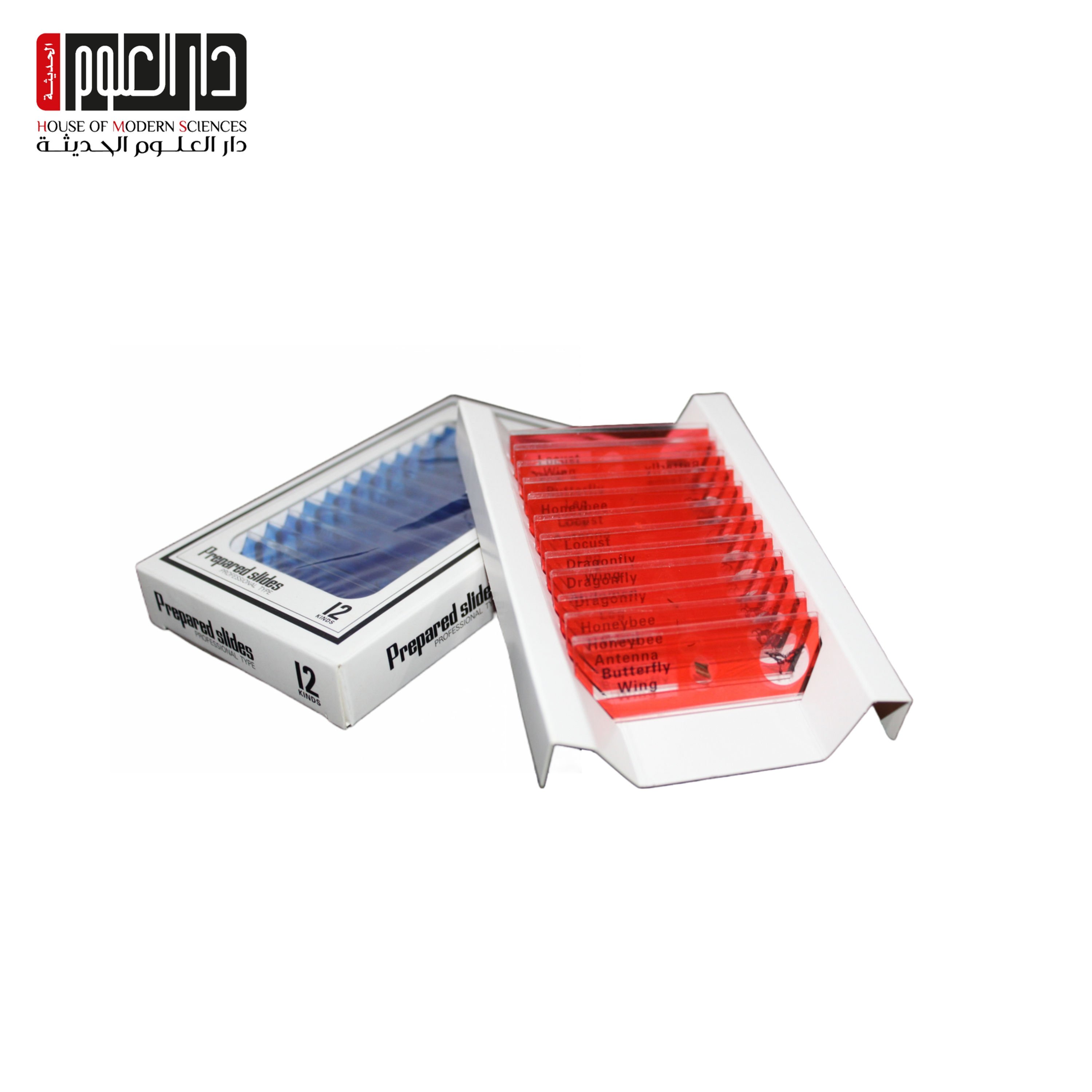 مجموعة شرائح حيوانية