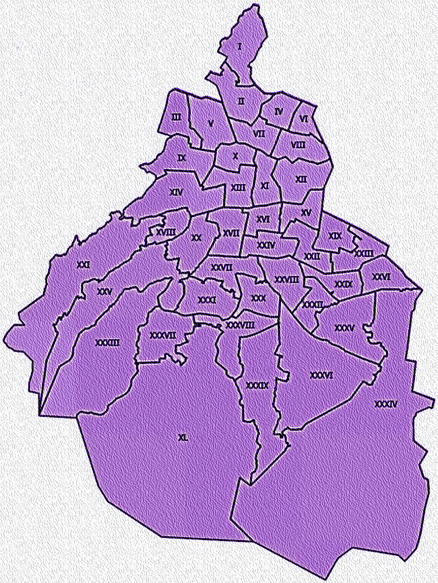 Shapefile de los Distritos Electorales de la Ciudad de México