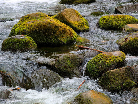Vom Druck ins Herz - über Widerstand, Mitgefühl und Herzenswege