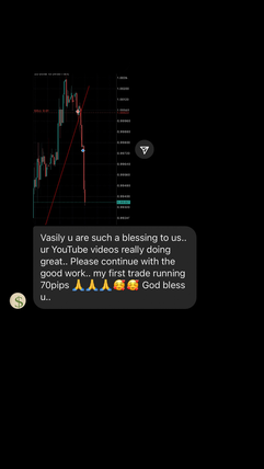 comments about vasilytrader