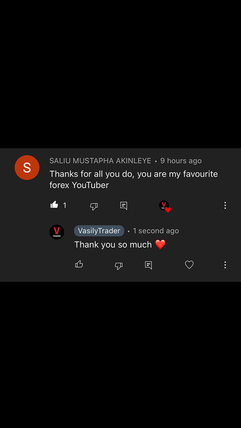 vasily trader honest review