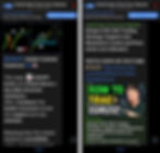 top 1 best free forex signals group on telegram