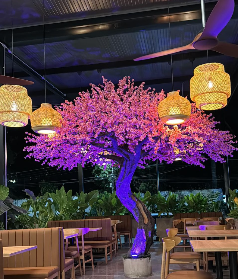 solaz plaza mall