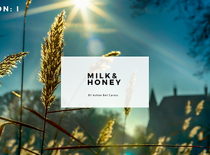 M I L K & H O N E Y - PITCH DECK.png