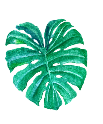 leaves-15.PNG