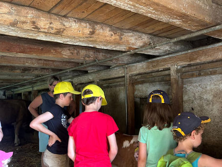 Un été à la ferme : petits veaux, rires et beurre fait maison