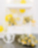 Brynnies-Sweet-Treats-scaled_edited.jpg