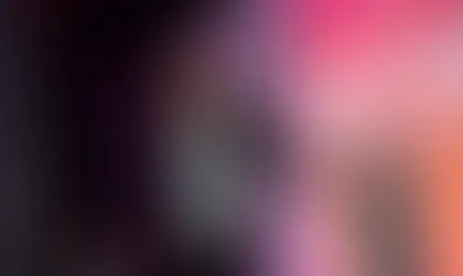 February 2026 Newsletter